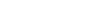 light logo